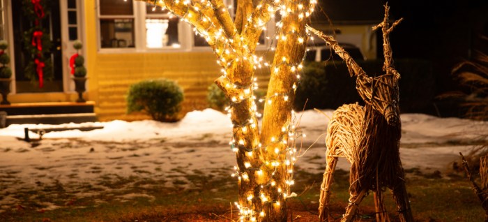 Weihnachtliche deko für den garten