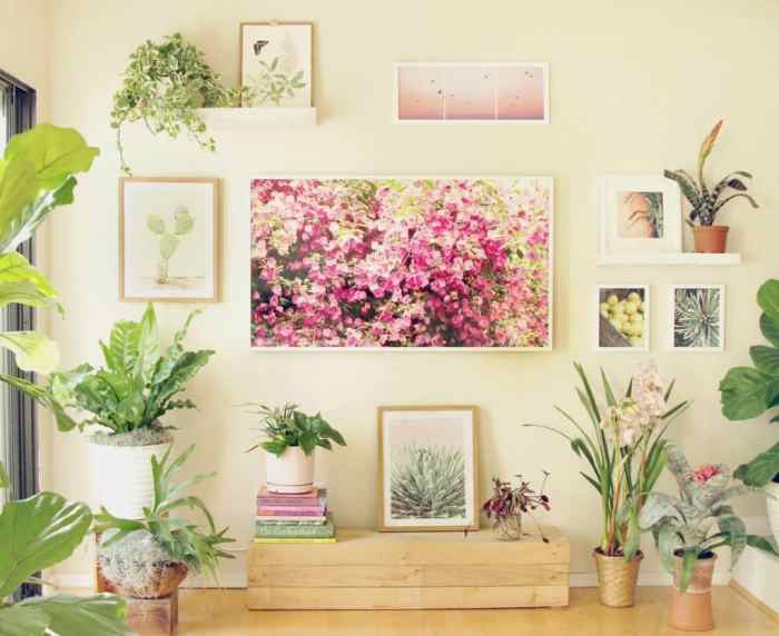 Plants plant ideas decor house apartment decorate ways eco